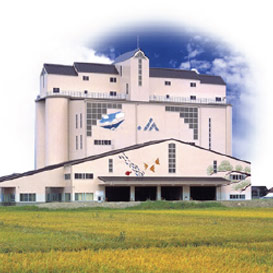 Major Technology in Rice Sector